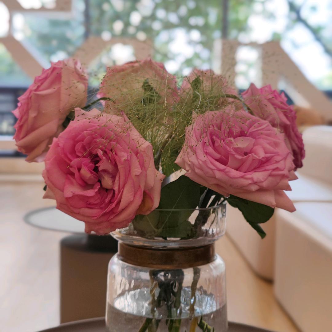 妞姐小铺子（淘你所爱）