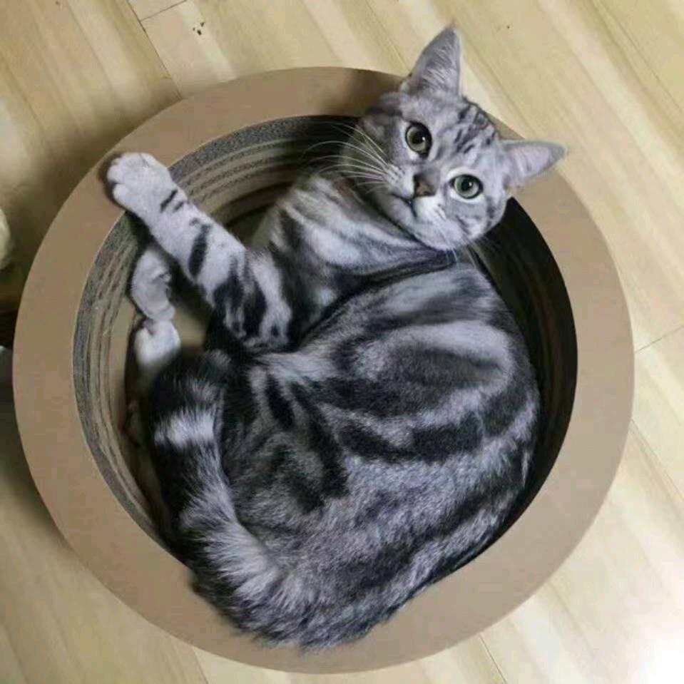 简单点.