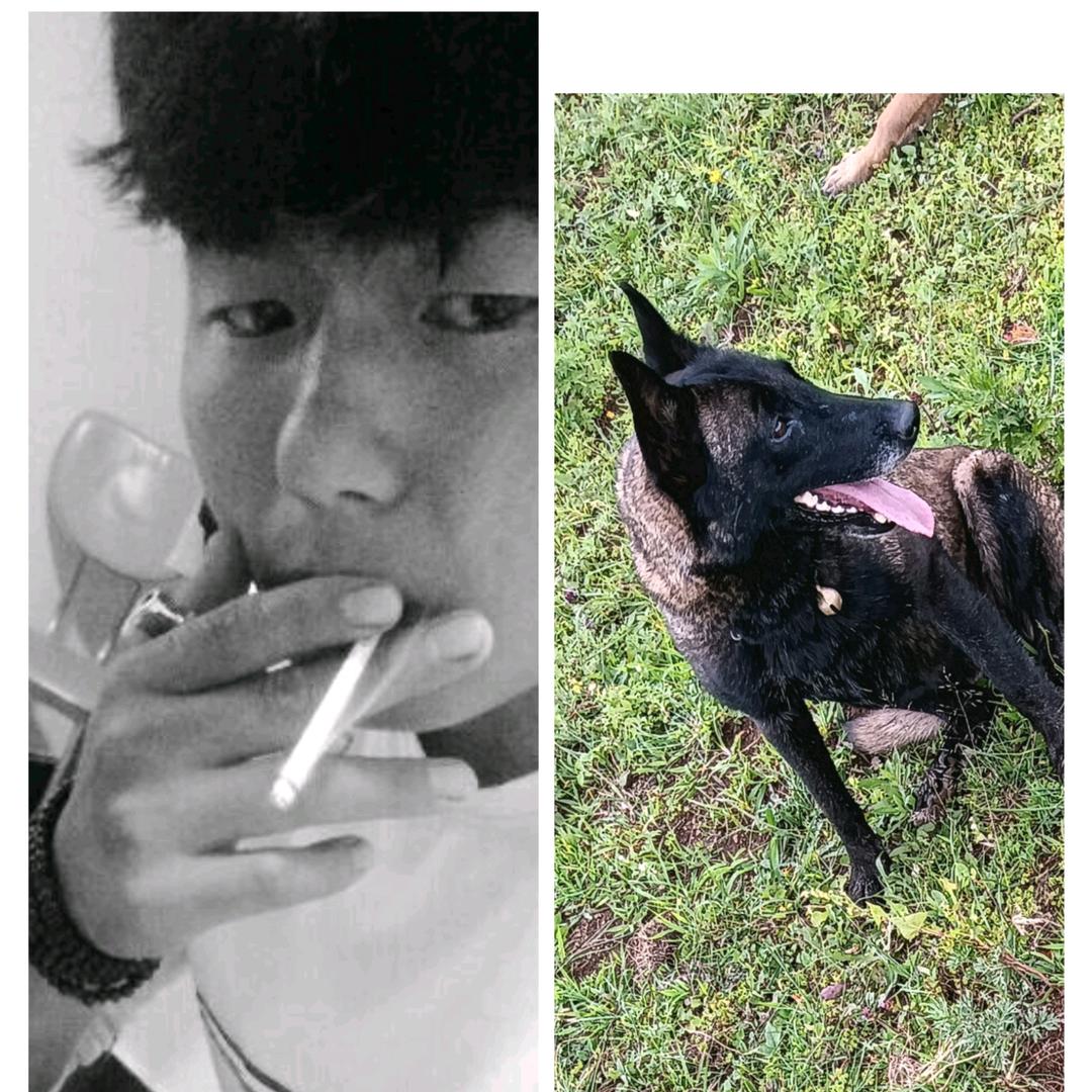 （额苏总部）小李养殖