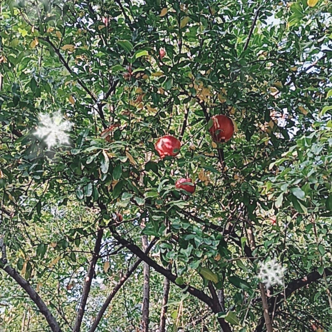 人间清醒