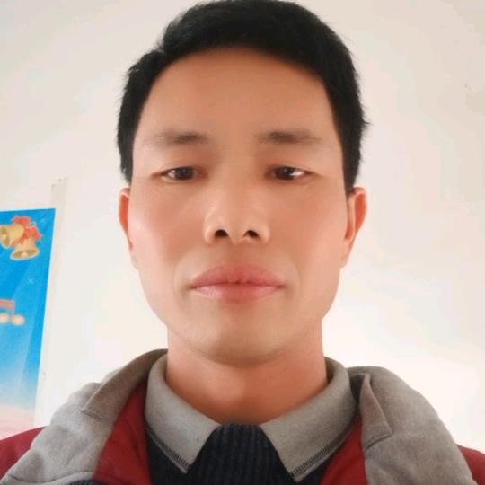 捕蜂捉影