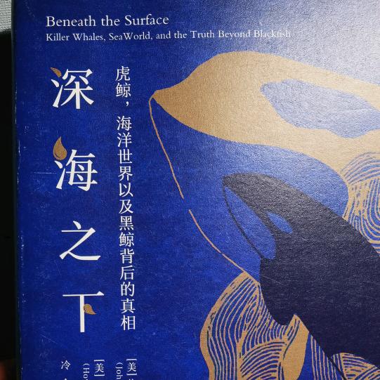 虎鲸爱代肝吖（鸣潮）