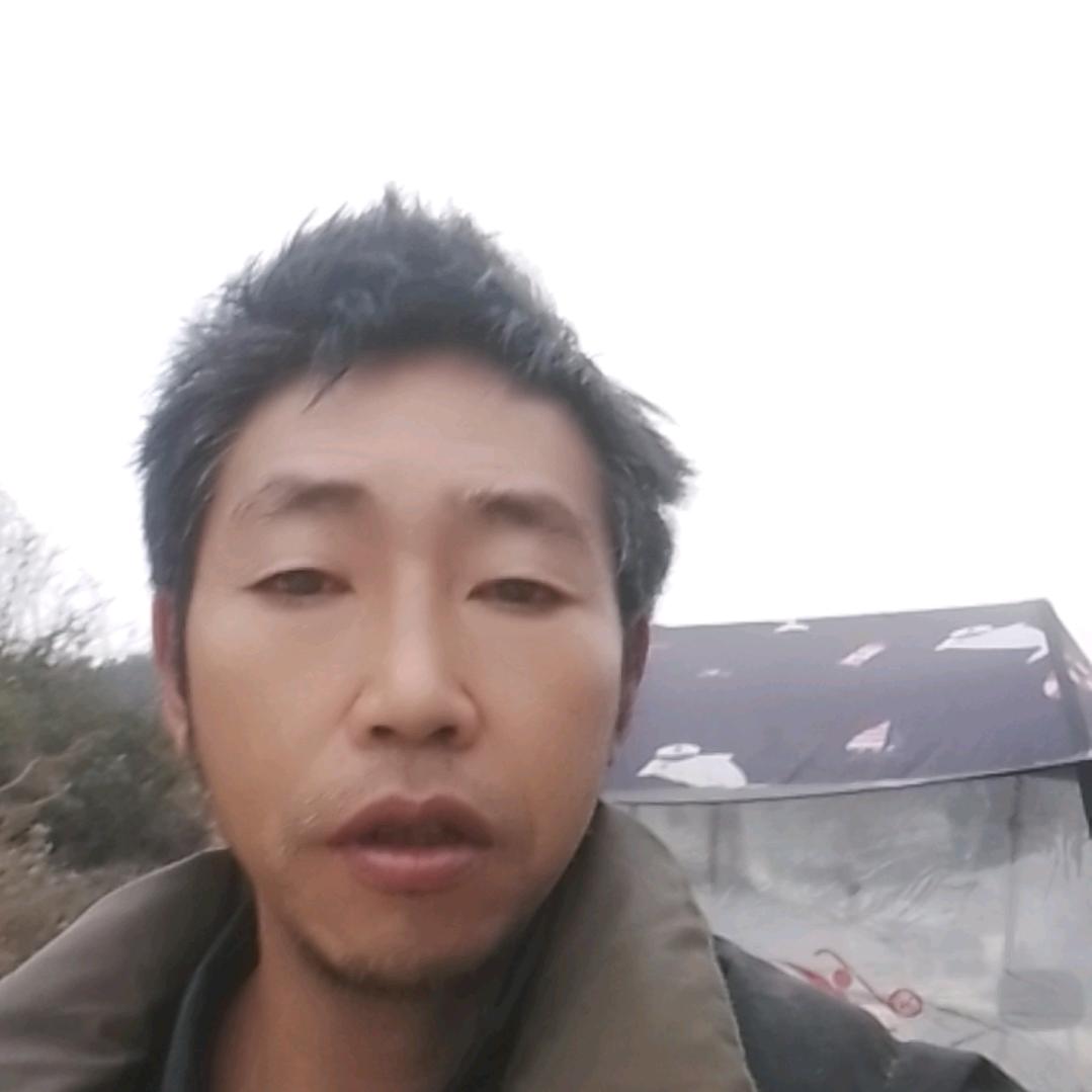 爱你一生一世。代