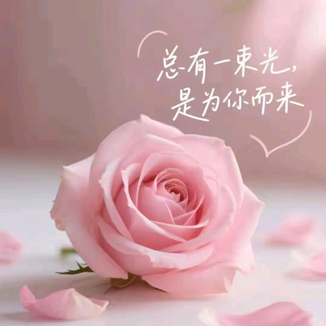 💕ঞ᭄悦己ꦿഒᩚ࿐