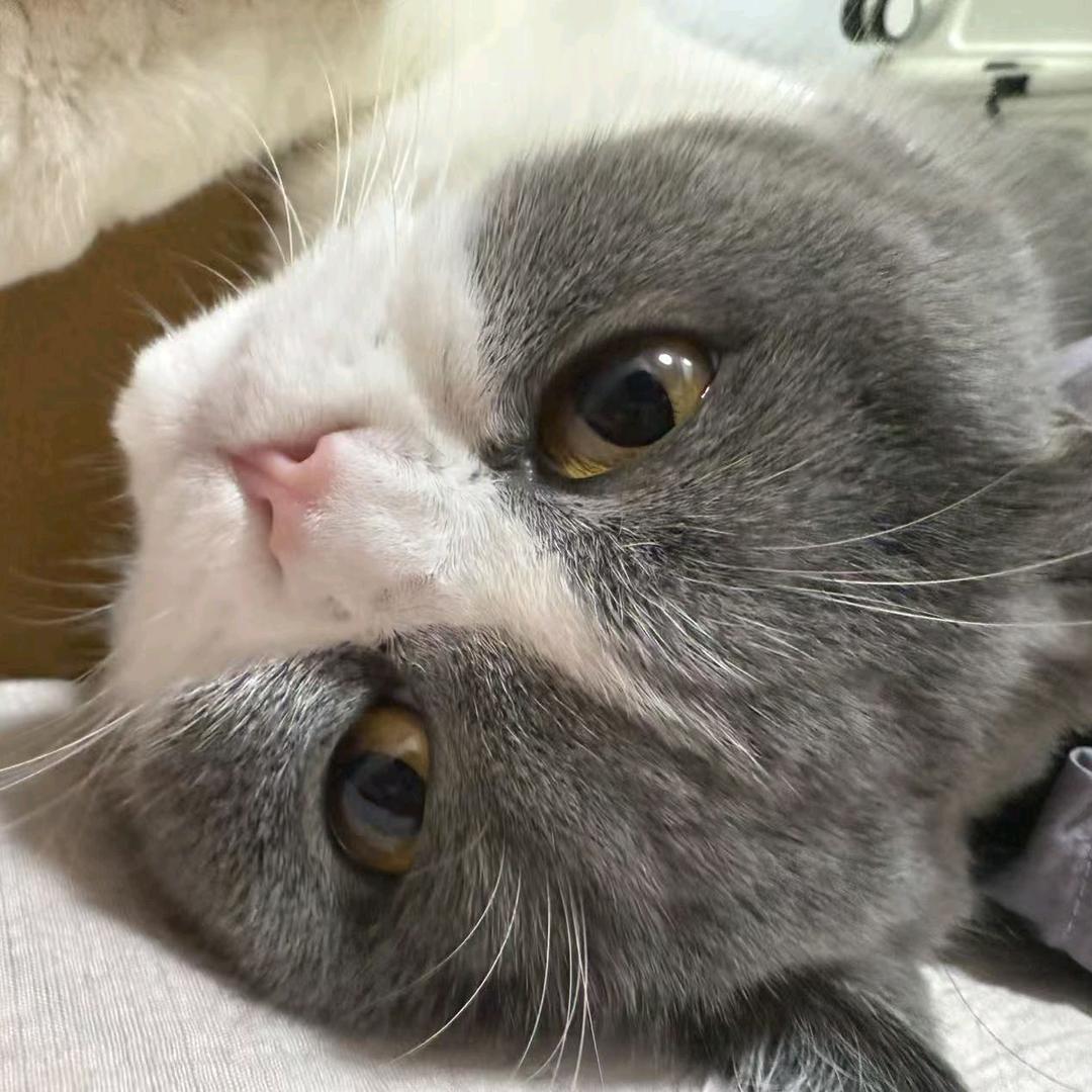 ...宁