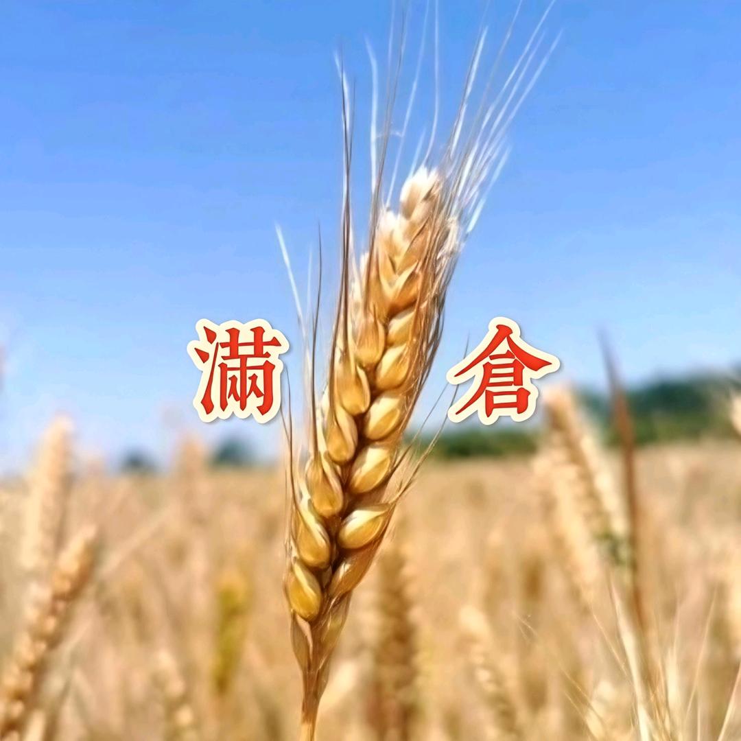 城南.滿倉³⁹