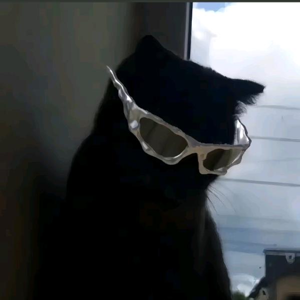 黑猫丶
