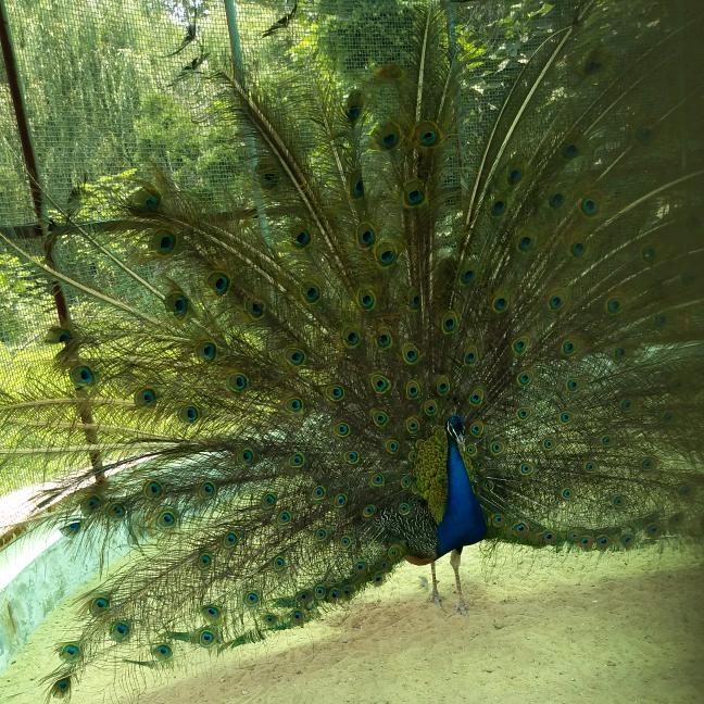 重生之后——新的一生