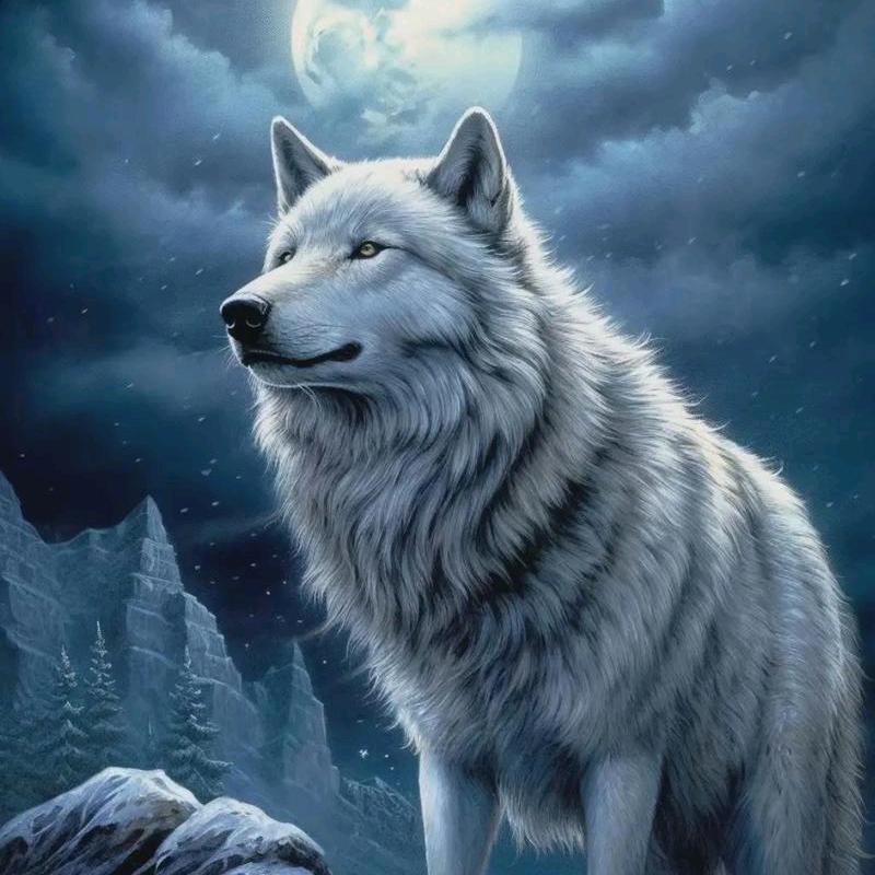 ✨💕ꦿ᭄孤狼✨༉ᩚ᭄