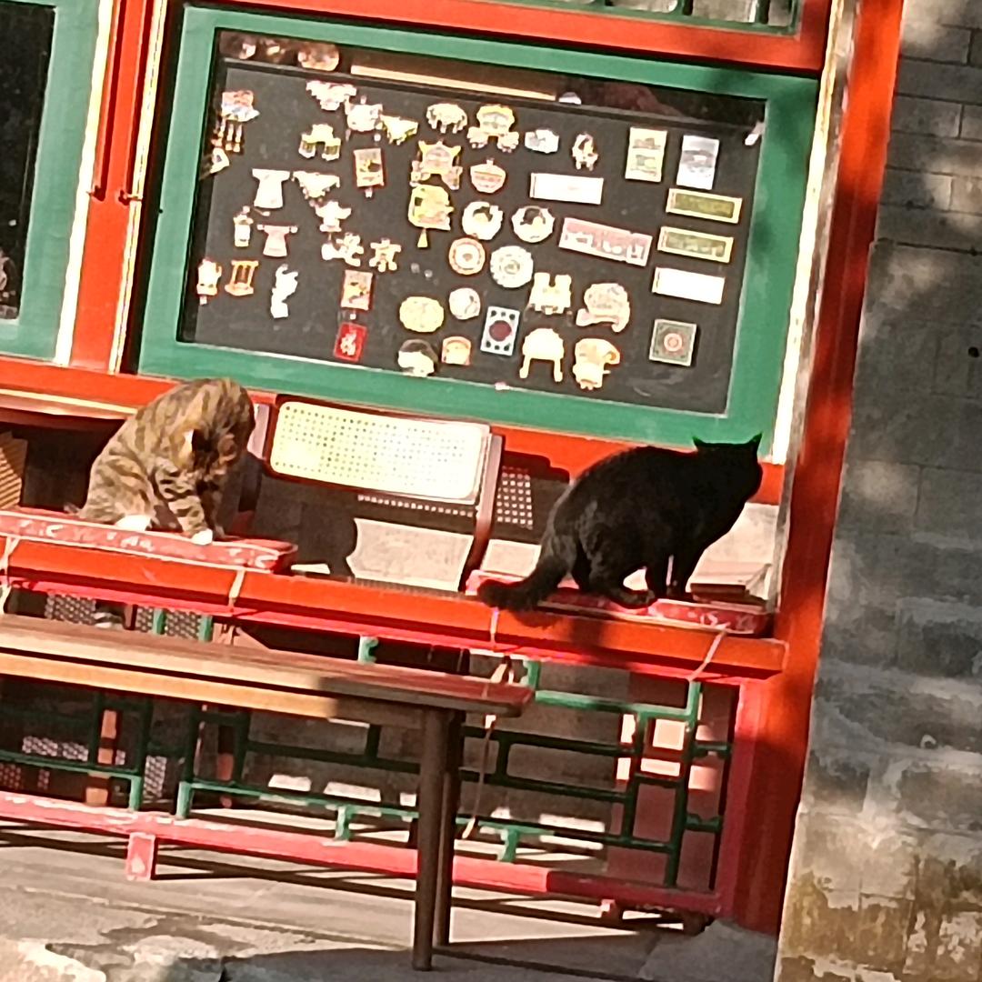 北隐