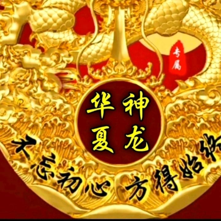 华夏神龙🐉