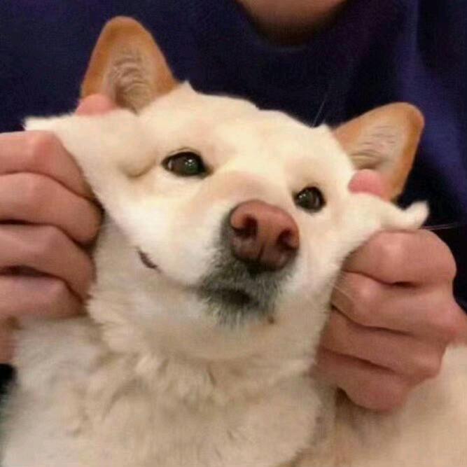 欢十个勤天多一点