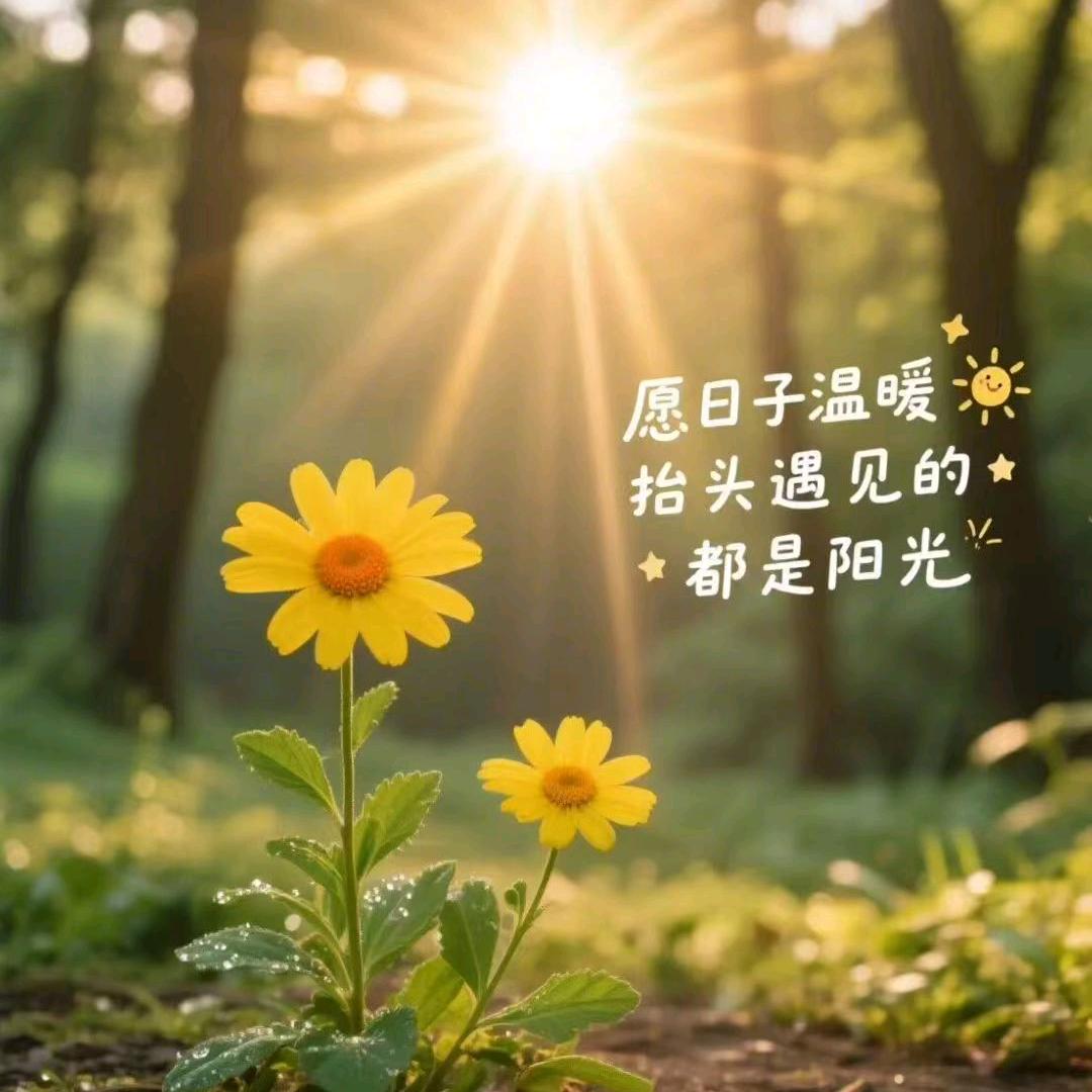🐏张家大小姐℘࿐