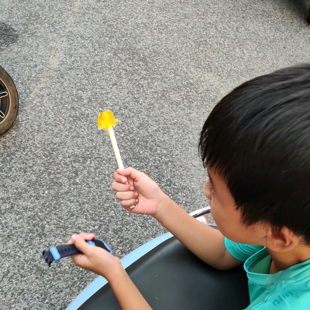 面包会有的
