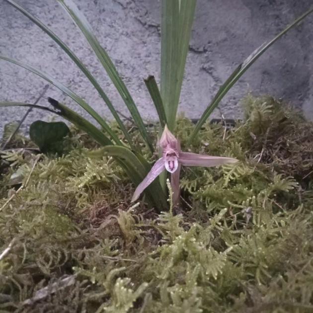 说方的二哥