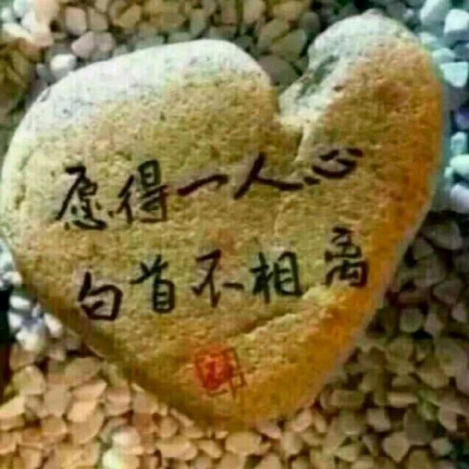 ༺❀ൢ༒ൢ❀༻潜龙在渊