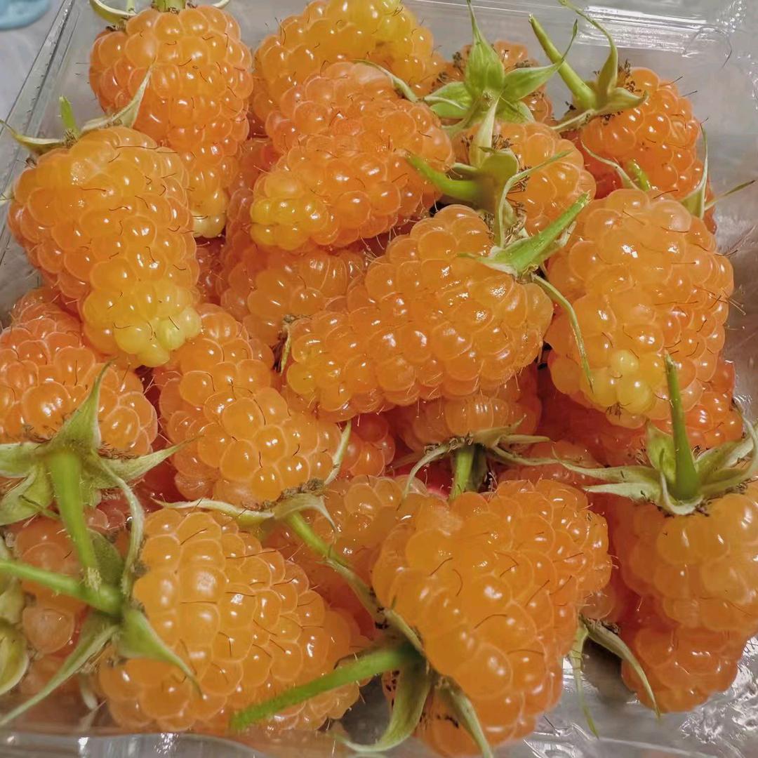 开心快乐