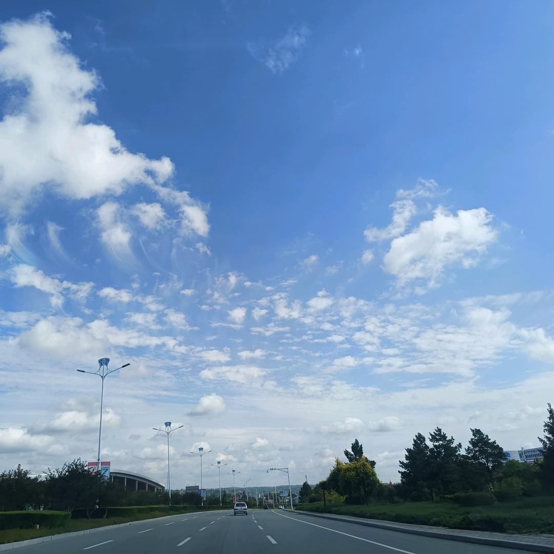 园我所愿