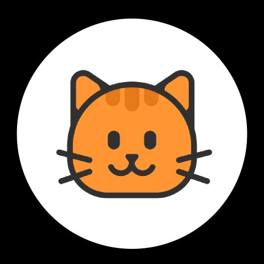 窗台的猫🐱