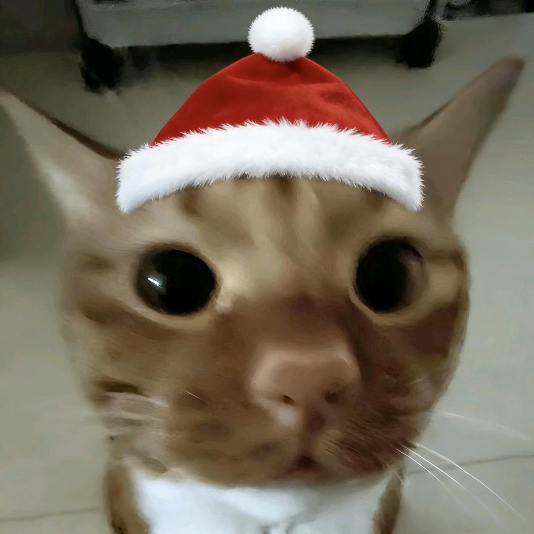 不醒行不行