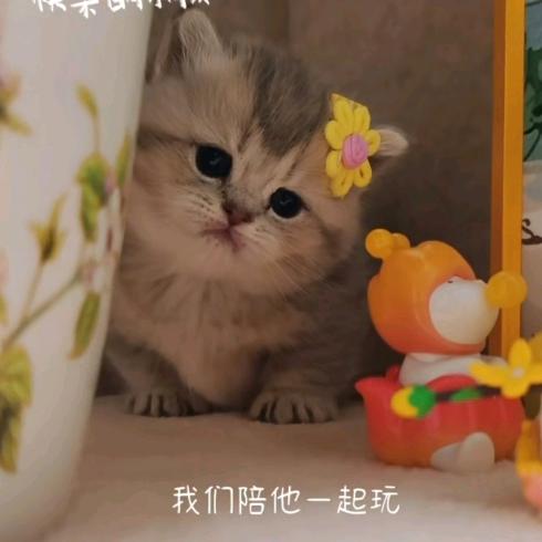 薛哥精选