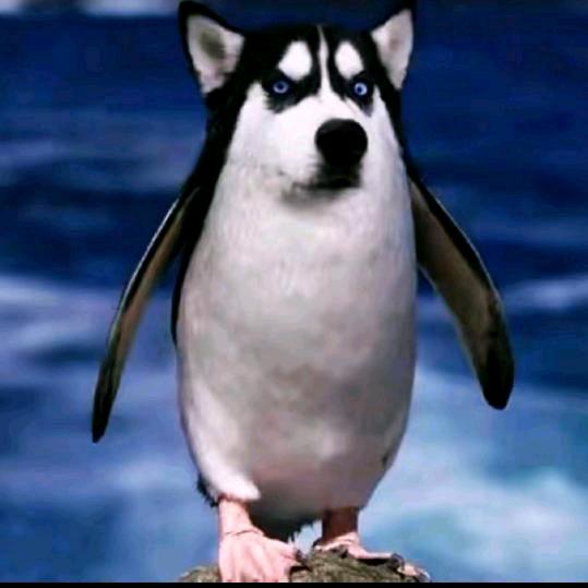 ꫝꪖꪜꫀ ⁹ꪖ  ⁺ꪀⅈᥴꫀ ¹ᦔꪖ