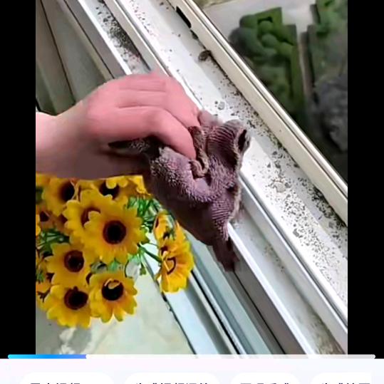 王姐好物百货分享