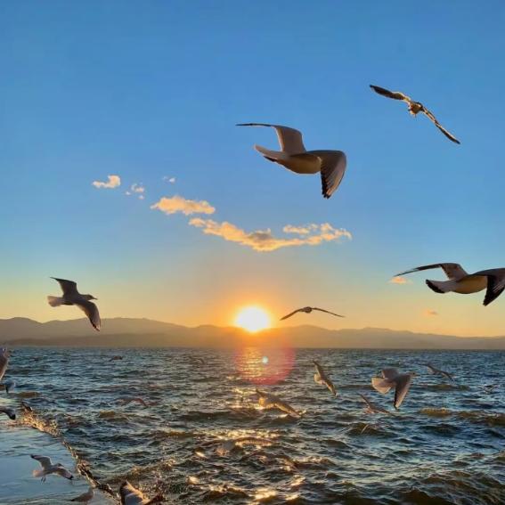 笋房师晶晶德正