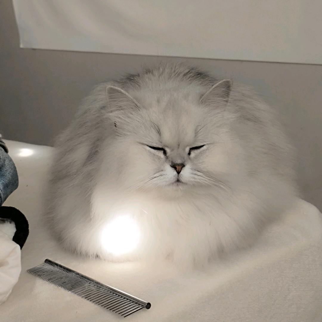 姜楠