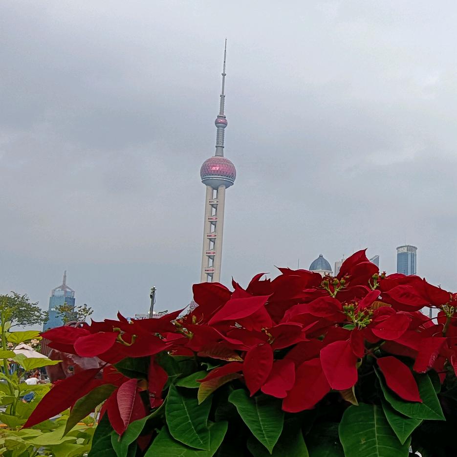 回头望 那是过去