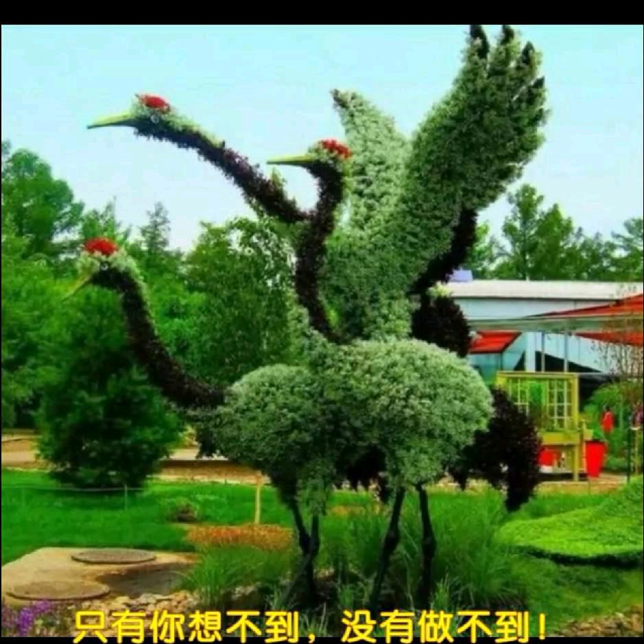 心橙