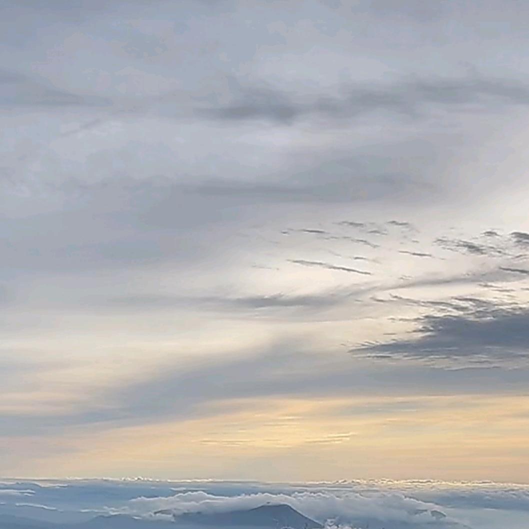 福