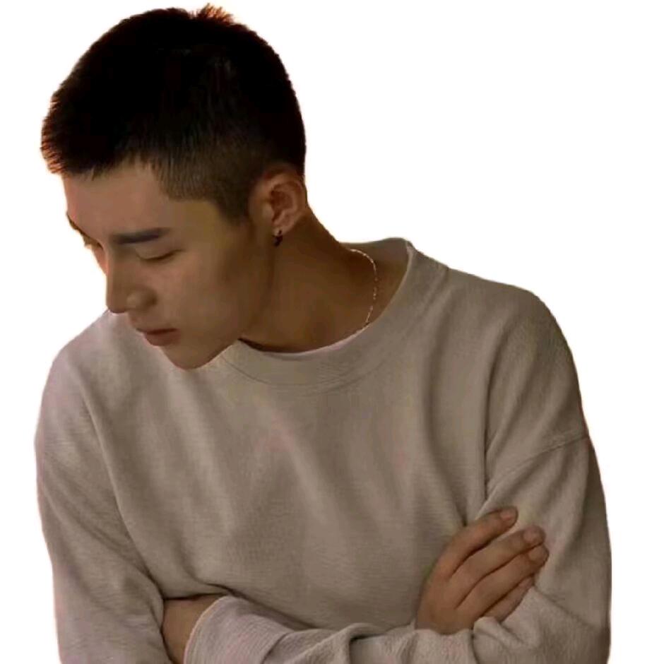 壁虎🦎