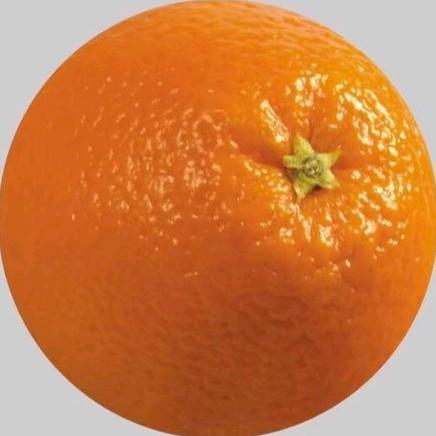 橘子啊！🍊