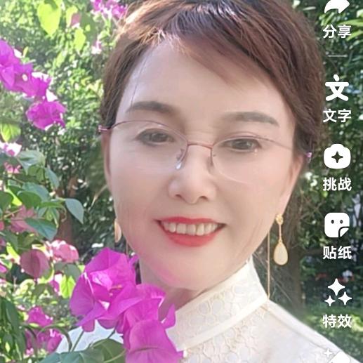蔷薇花