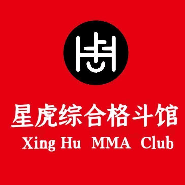 星虎综合格斗馆-和平里天丰利店