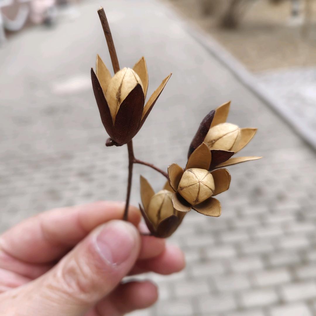 农村来的@笨蛋大Sū🥸