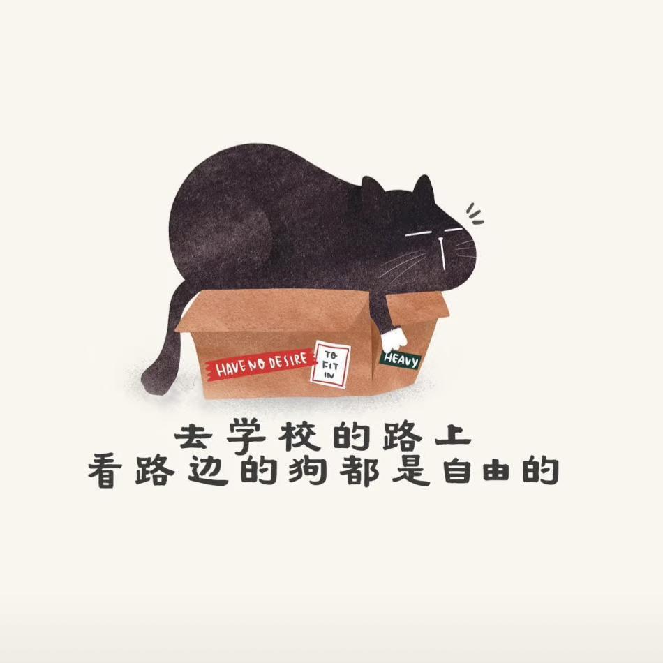 Jerry头像