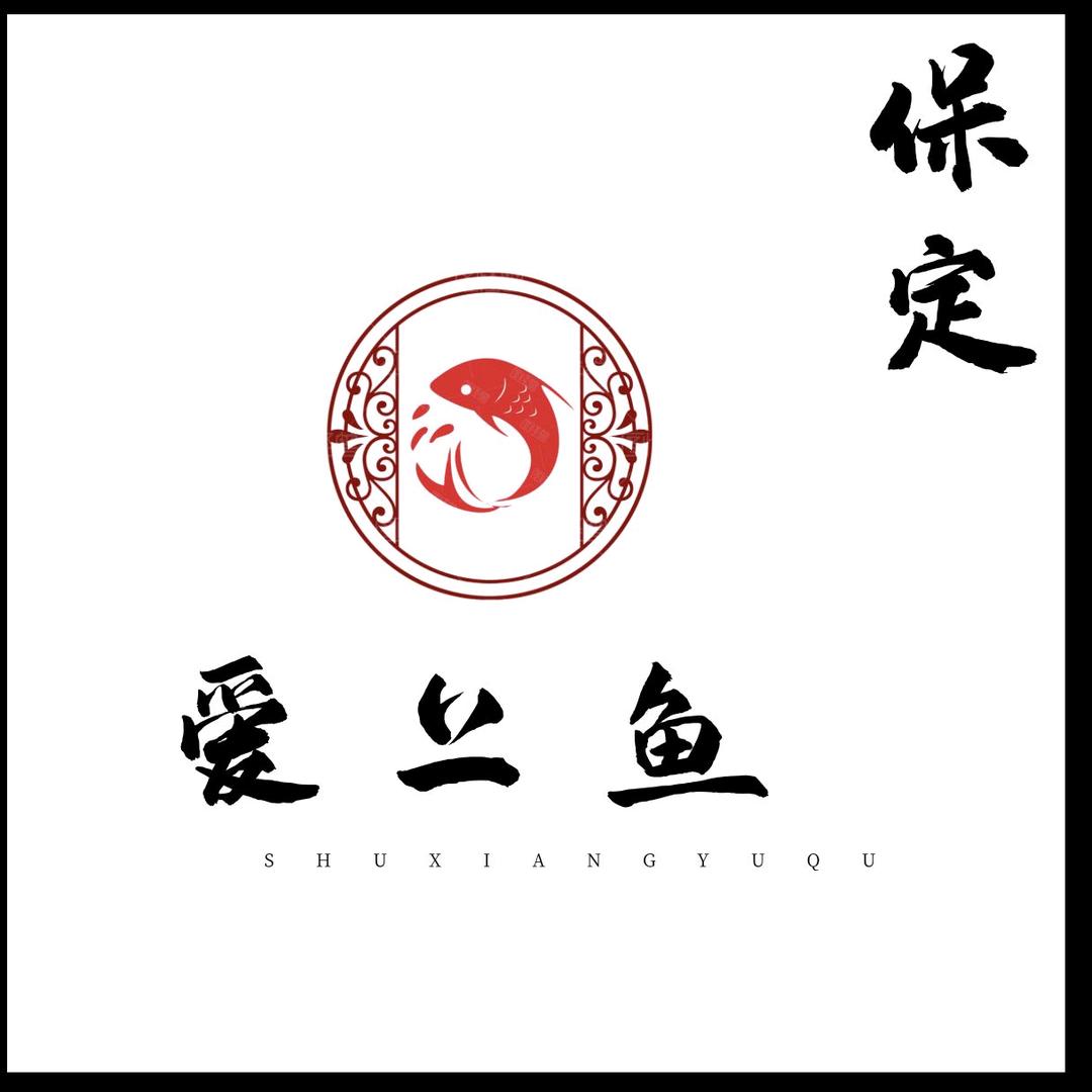 爱上鱼保定店
