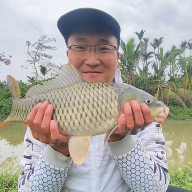 大kai钓小鱼