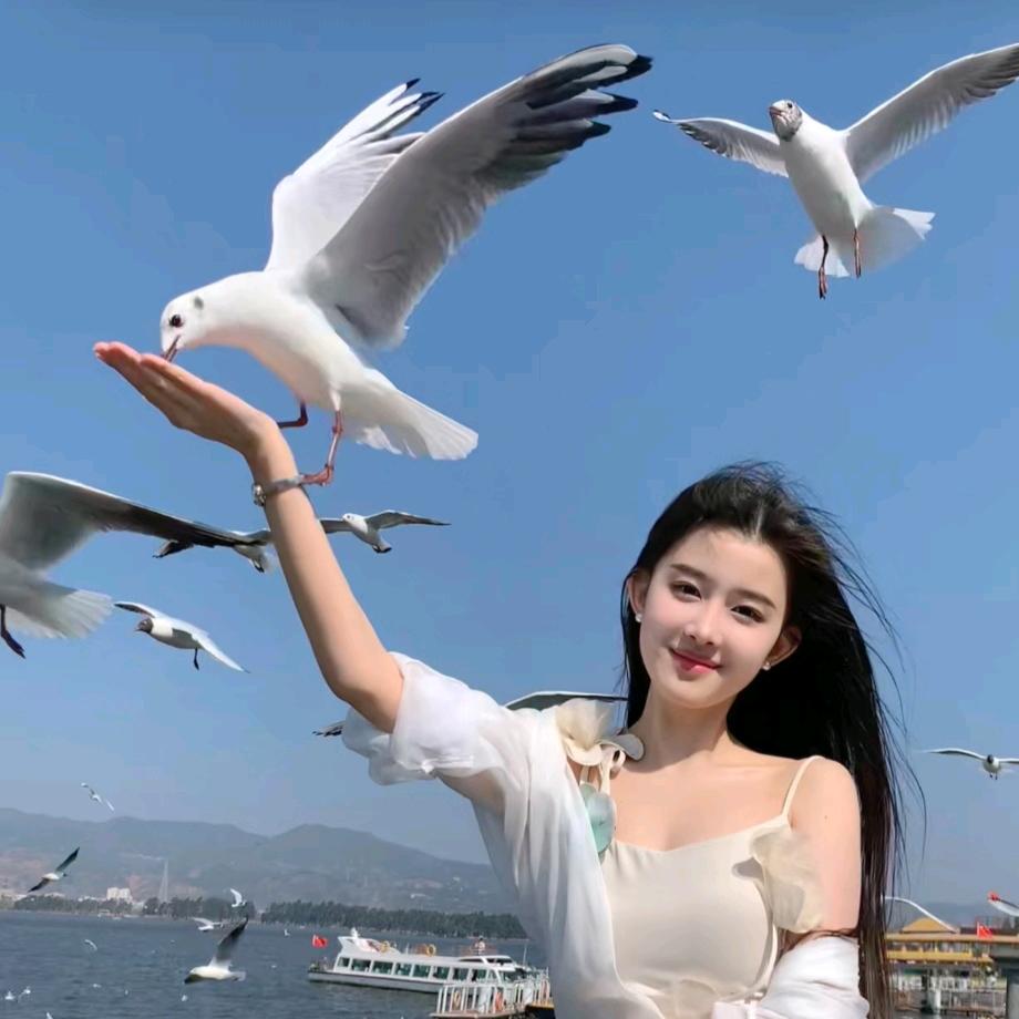 晨鑫好物
