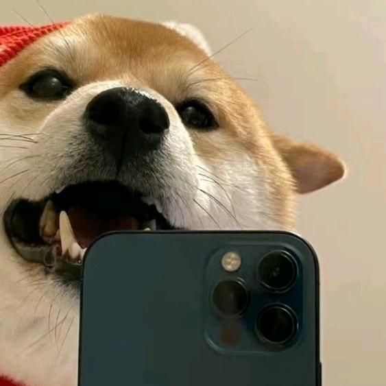 多崽(●✿∀✿●)✺◟(∗❛ัᴗ❛ั∗)