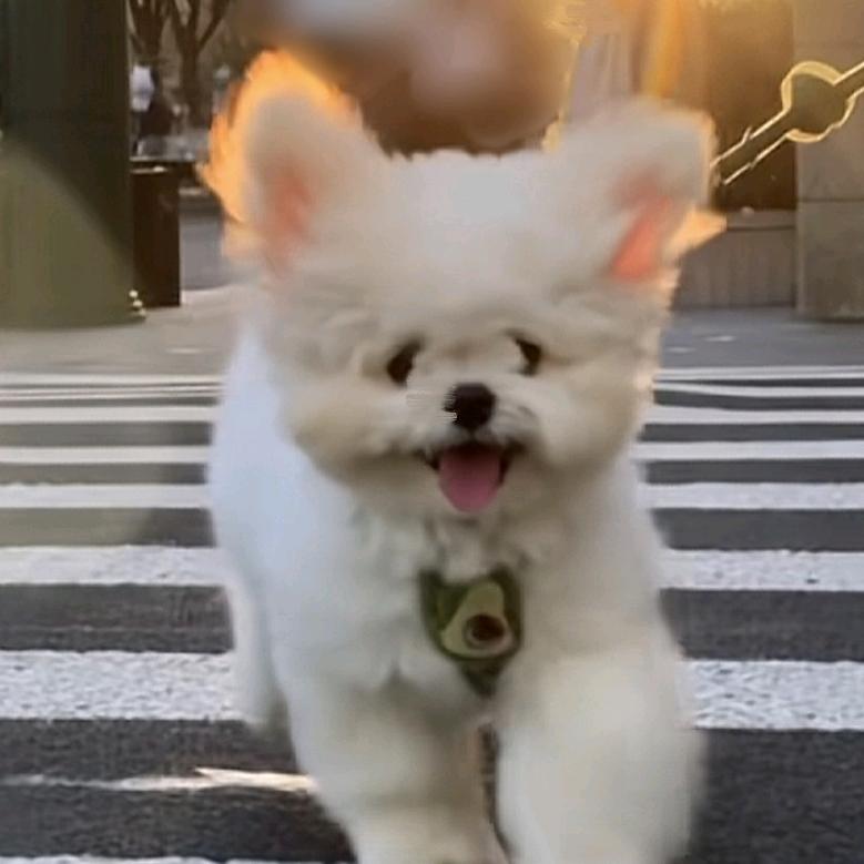 为什么拉勾还要上吊