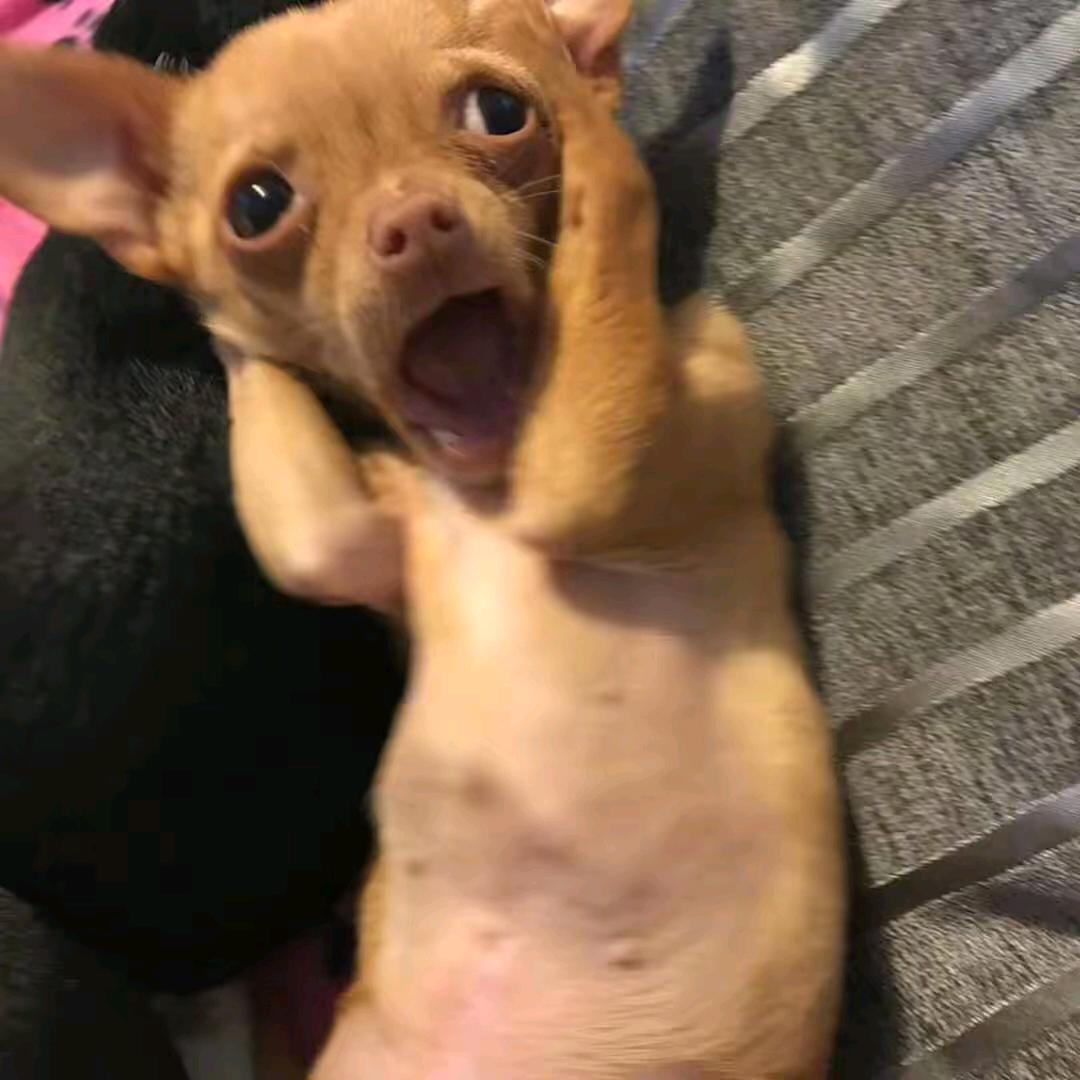 阿可