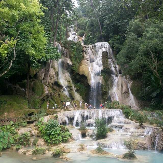 风有约，花不误