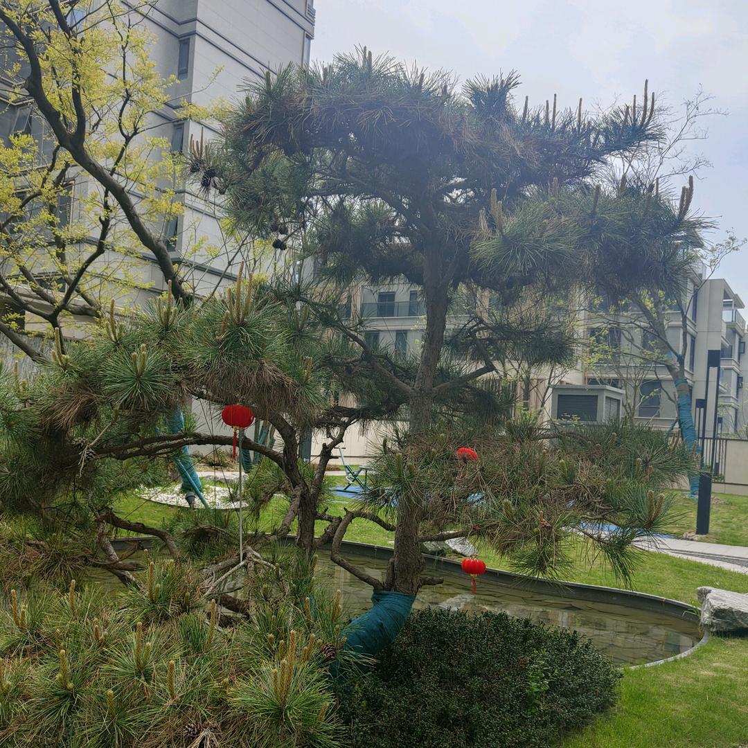我就是我