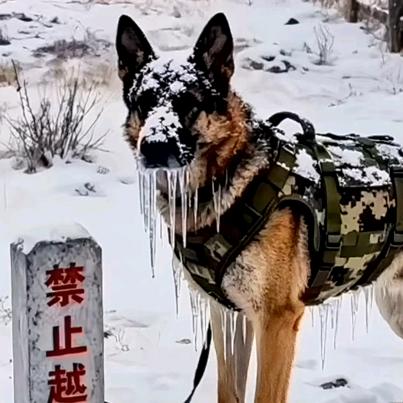 .私信