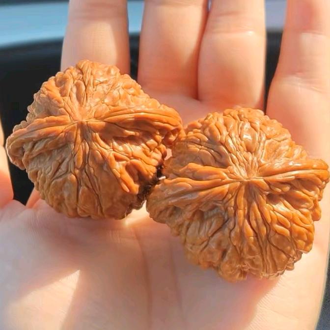汐然文玩