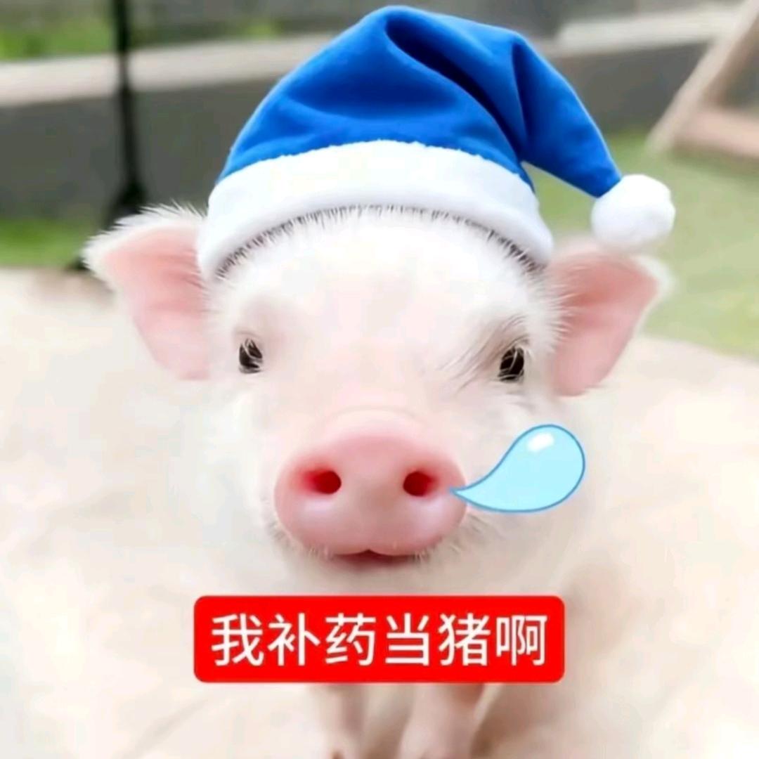 想之后