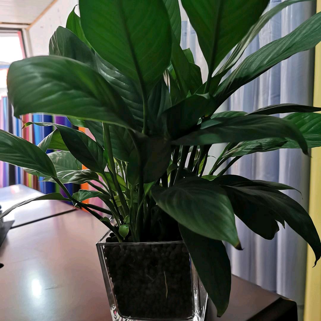 用户0190318流浪